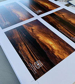 Postcard Marketing Cards